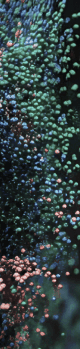Image partial